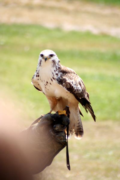 Killikus&reg; Fotographie